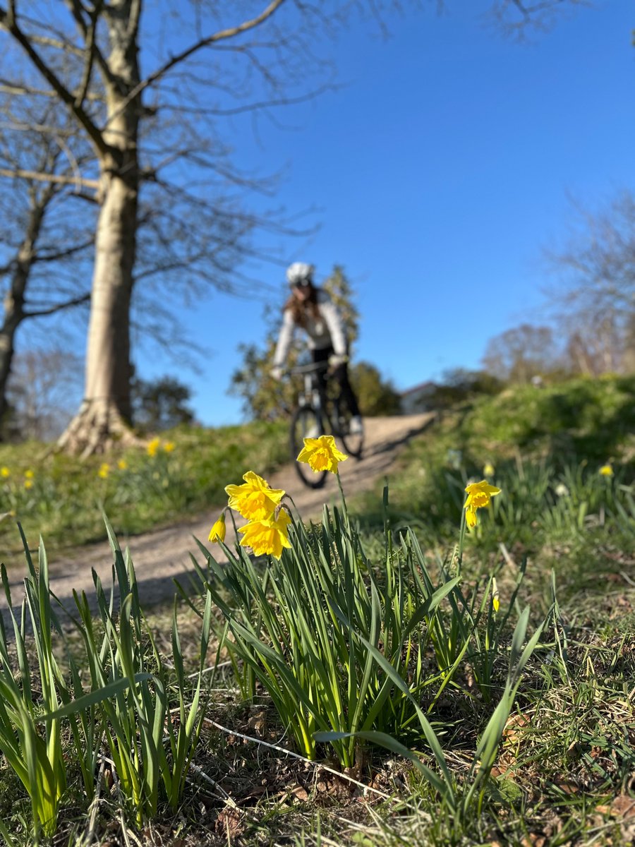 blairvadachAils tweet media