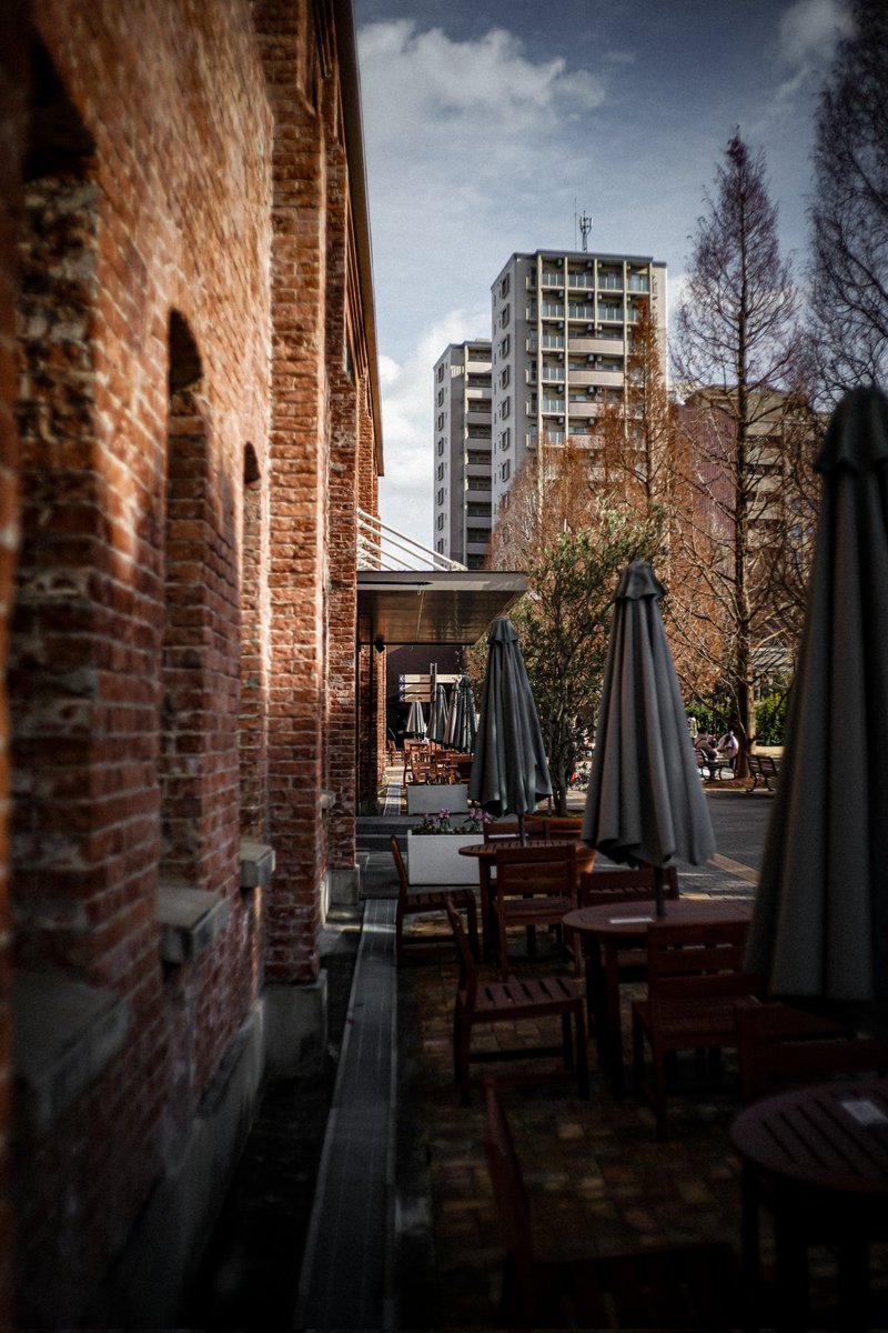 masayasu_photo's tweet image. おはようございます😊

#Noritake