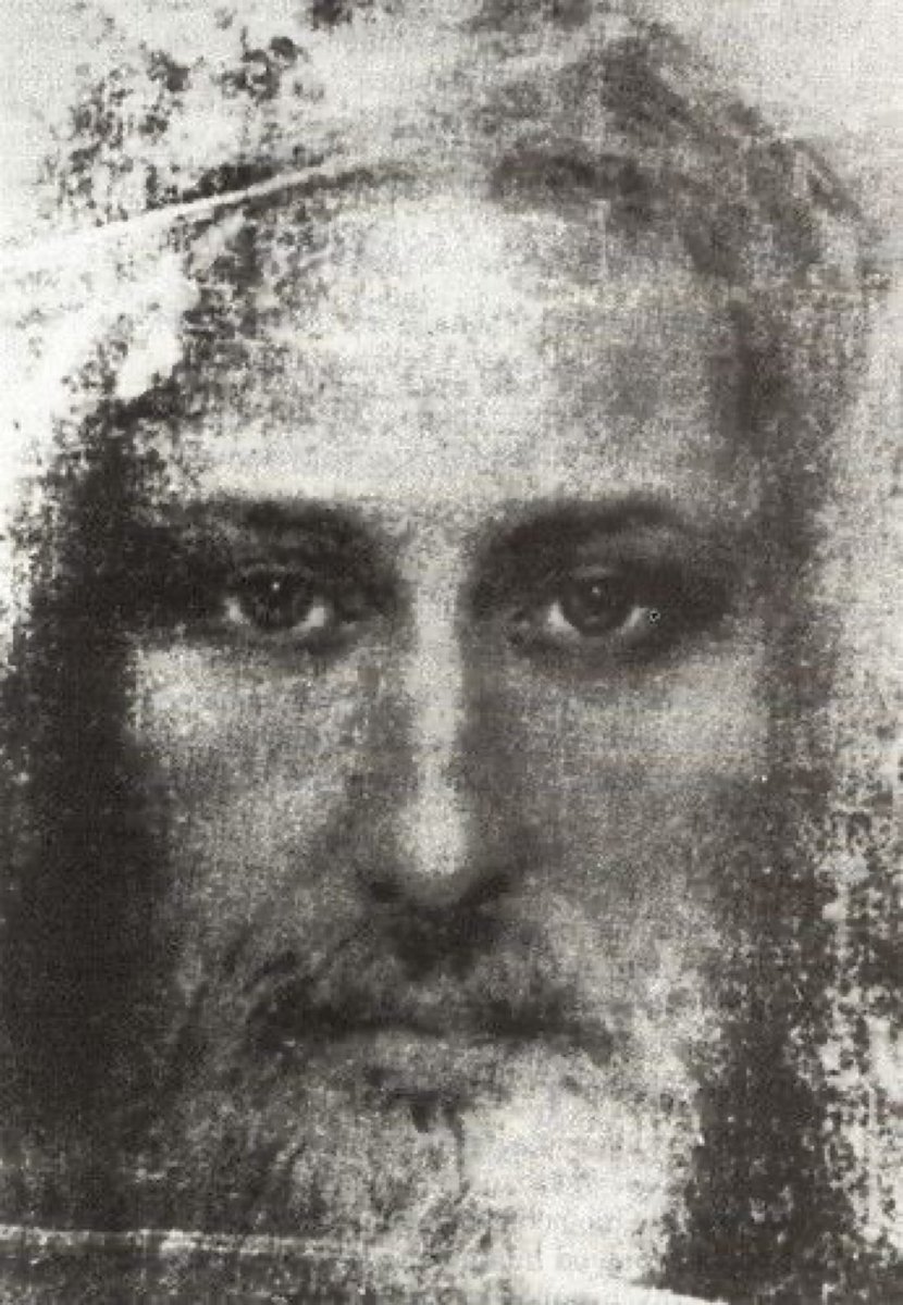 RosarySon tweet media