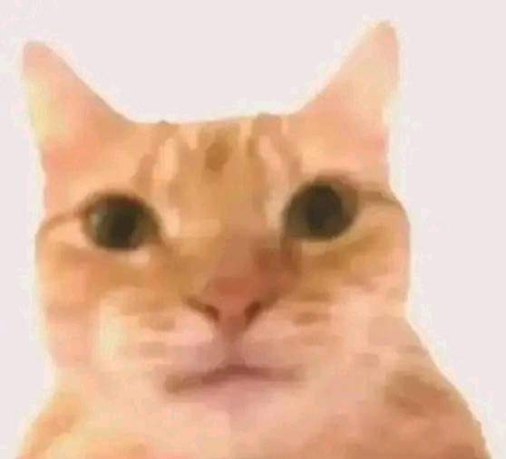 the crashout is coming, I can feel it