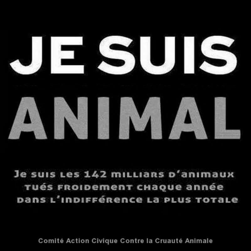 PascaleAnimos's tweet photo. Il n' y aura eu qu'eux de purs de perfection, sur cette planéte
#fuckhumanity https://t.co/l7J5A1DFVU