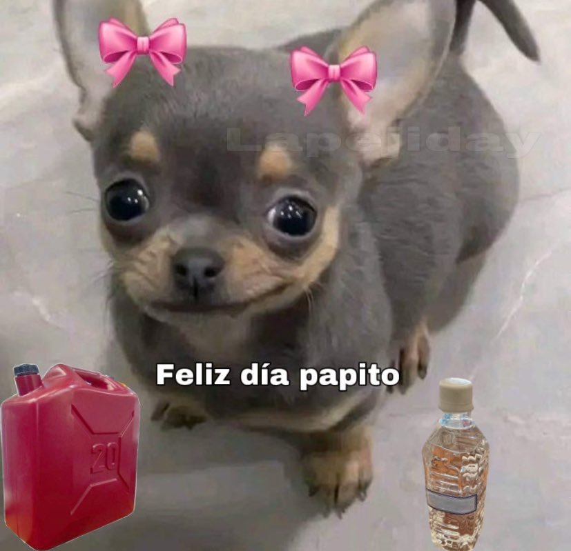 pejiday's tweet photo. Yo llegando con su regalo por el día del Padre… https://t.co/EJqM8zYbVC