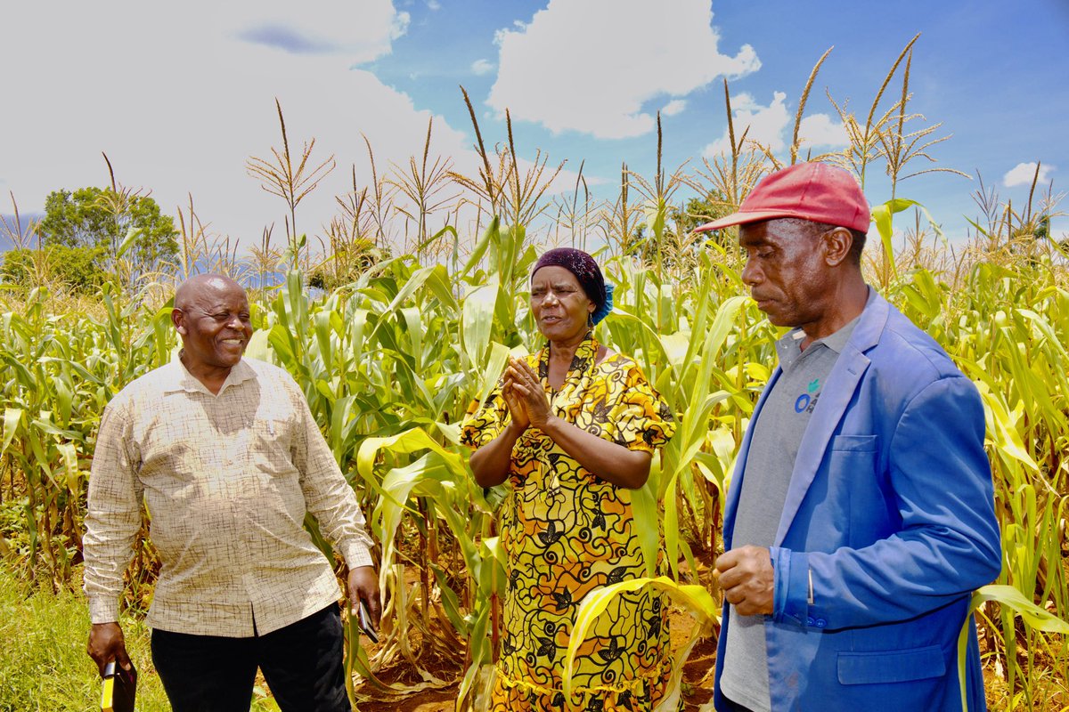 FightpovertyTz's tweet photo. @Stromme_S Board Members visited the ELCAP program in Singida, where they had the opportunity to interact with government officials, and local implementers in Iramba District. It was an inspiring visit as they witnessed the hard work of farmers who have been supported by @StrommeTZ in partnership with @AmaniGirls_Org 

This visit reinforced the importance of collaboration with local partners, capacitating the community, and enabling them to improve their agricultural practices. 

It's exciting to see the community empowered to create sustainable solutions for their farming needs.