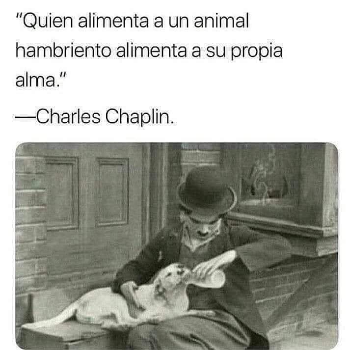 superhéroe americano tweet media