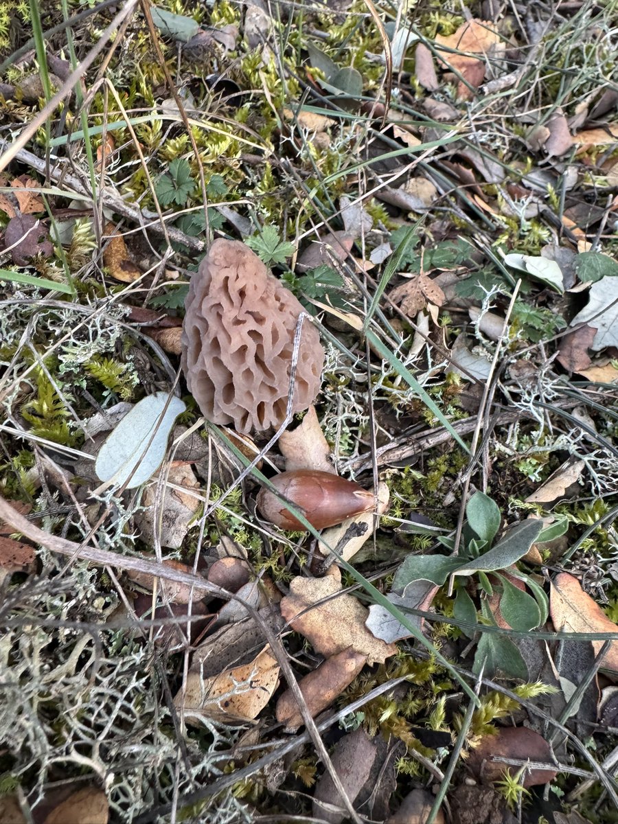 Ay que ya empiezan 😍😋