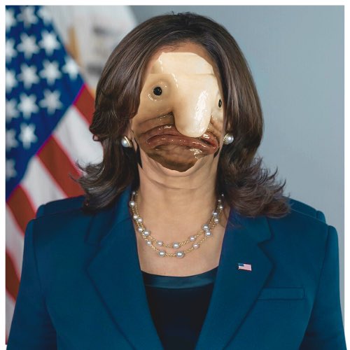 WeirdMonkeysNFT's tweet photo. Not a campaign. Not a coin. Just a ✨Presidential Fact✨

BlobHarris for Ocean President 

https://t.co/g9Nfub8LkC https://t.co/DB63186E2k