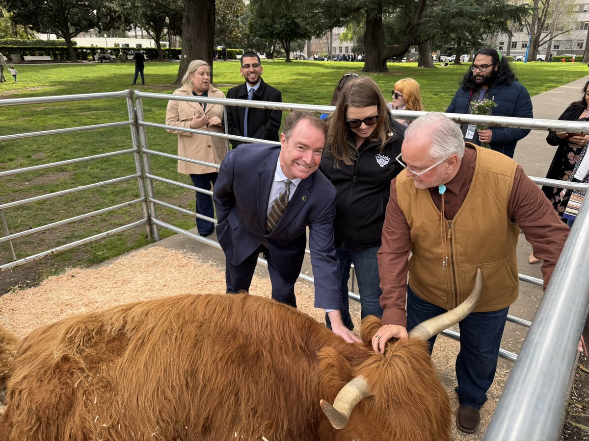 AsmConnolly's tweet photo. https://t.co/uJMVbALjM7