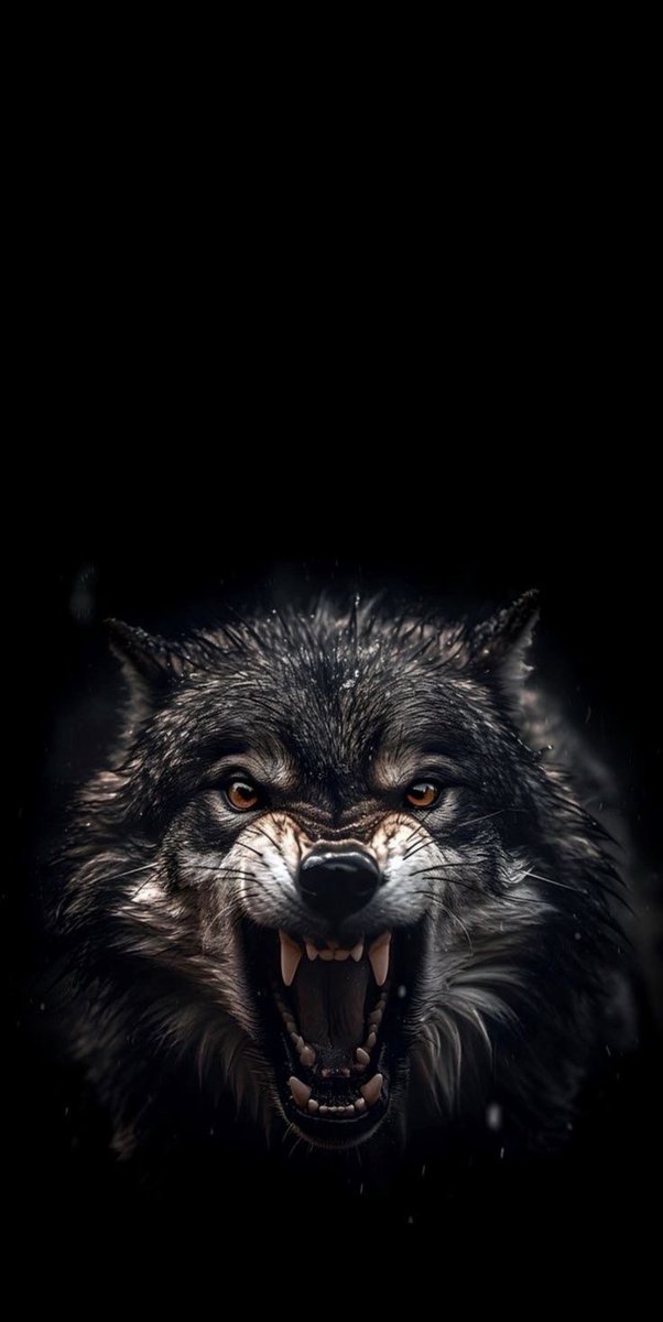 Ha tüfeği olmayan asker ha öfkesi olmayan fikir.
Necip Fazıl Kısakürek