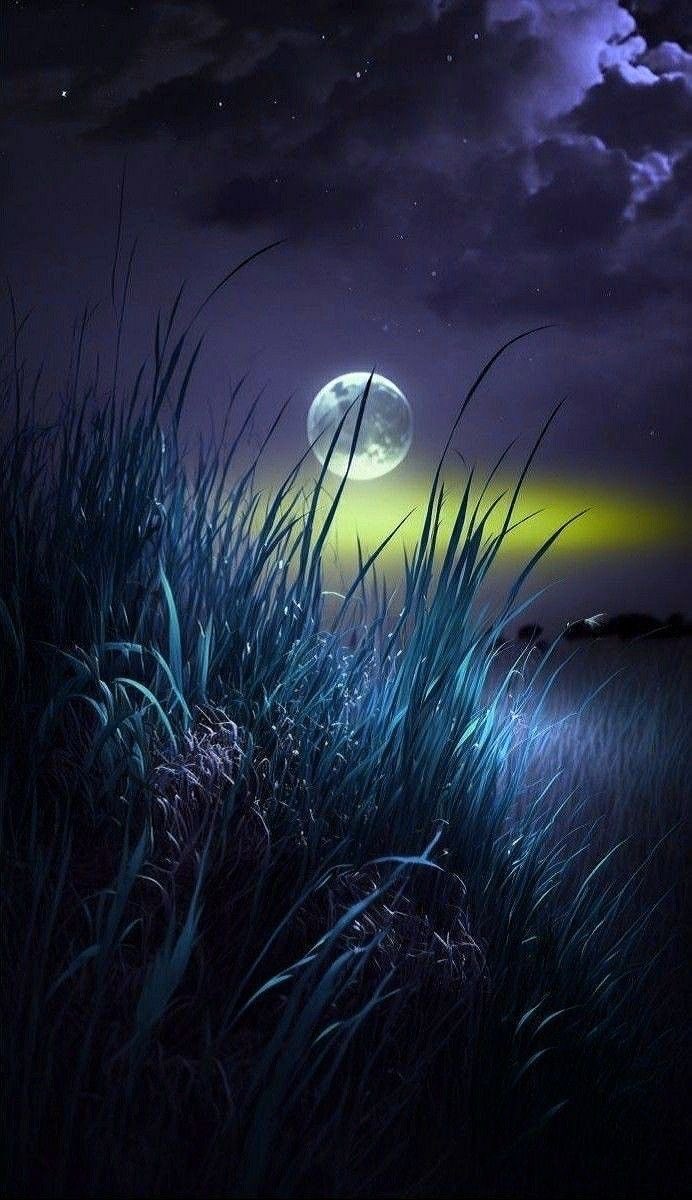 Alessandro ⚓️ NO DM tweet media