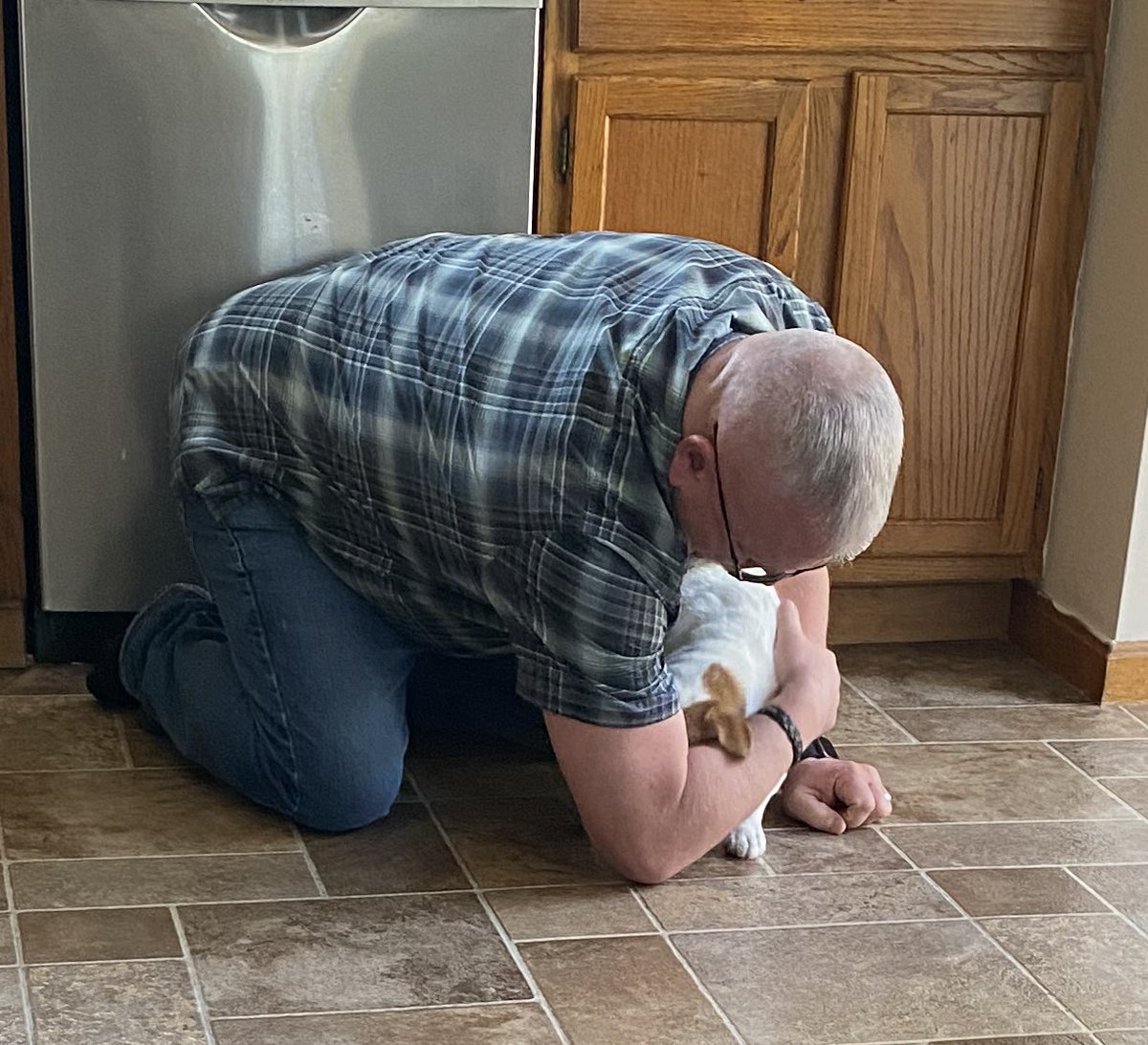 DaisyMaeJack's tweet photo. Dads home πβ₯οΈπΎ #afterworksnuggles #dogsofX https://t.co/AeETs3wJly