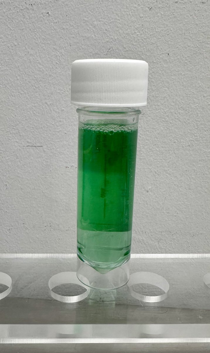 John White 💙 tweet media