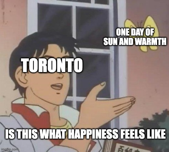 Maury (@mauryrubin) on Twitter photo 