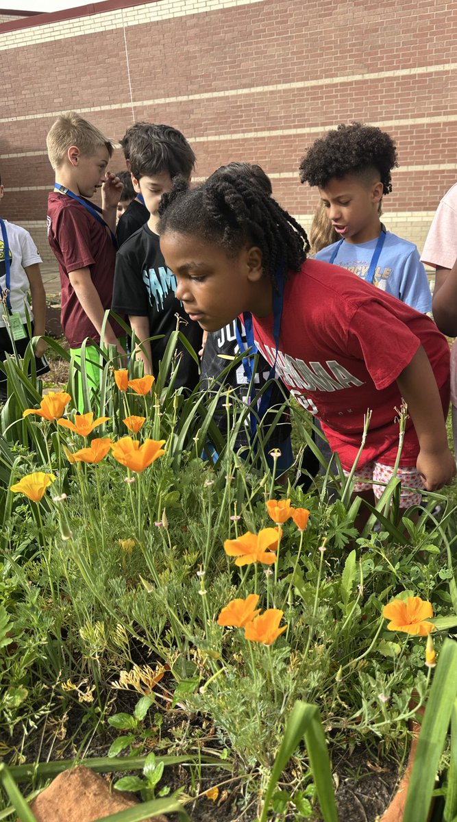 Ready to Grow Garden (@readygrowgarden) on Twitter photo We had a fantastic day with 2nd graders in the <a href="/SampsonElem/">Sampson Elementary</a> Imagination Garden! <a href="/SampsonPTO/">Sampson PTO</a> <a href="/CyFairISD/">Cypress-Fairbanks ISD</a> #schoolgarden #GardenDay We had a fantastic day with 2nd graders in the <a href="/SampsonElem/">Sampson Elementary</a> Imagination Garden! <a href="/SampsonPTO/">Sampson PTO</a> <a href="/CyFairISD/">Cypress-Fairbanks ISD</a> #schoolgarden #GardenDay