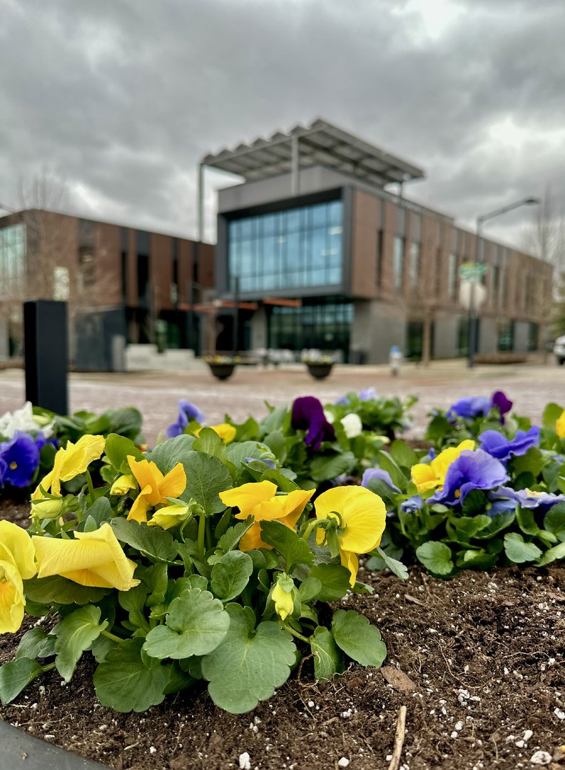 The Mill tweet media