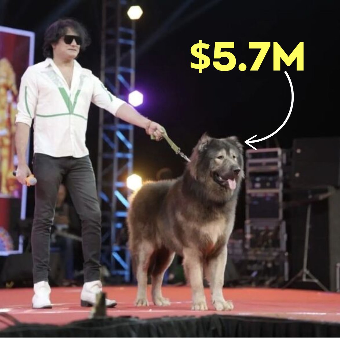 Collin Armstrong tweet media