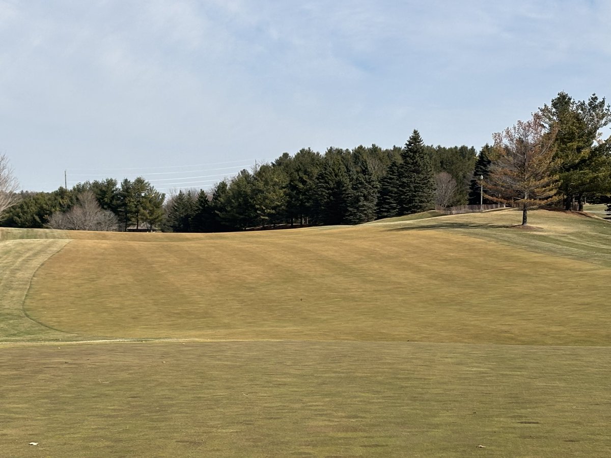 Nothing better than clean dormant Bent grass in the spring. Mother nature was kind this year.