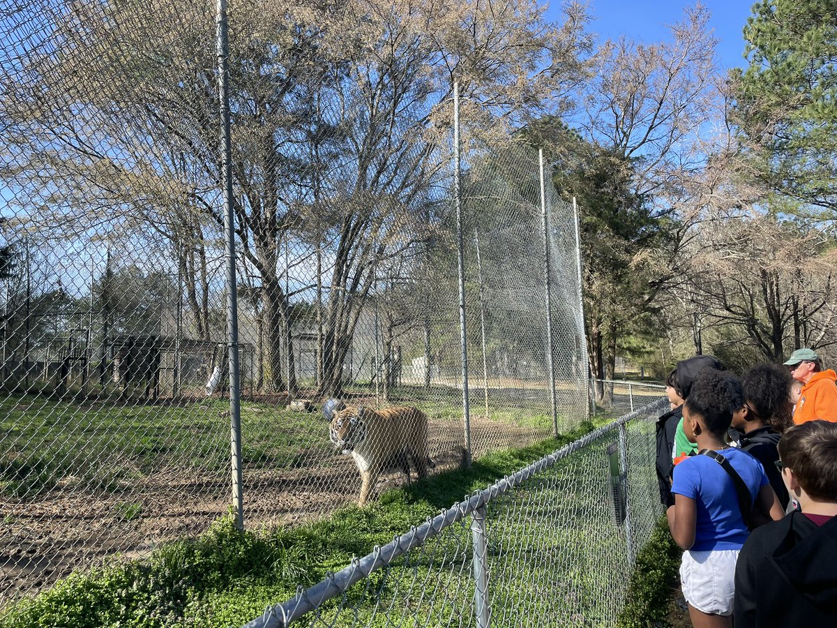 Ms. Eller tweet media