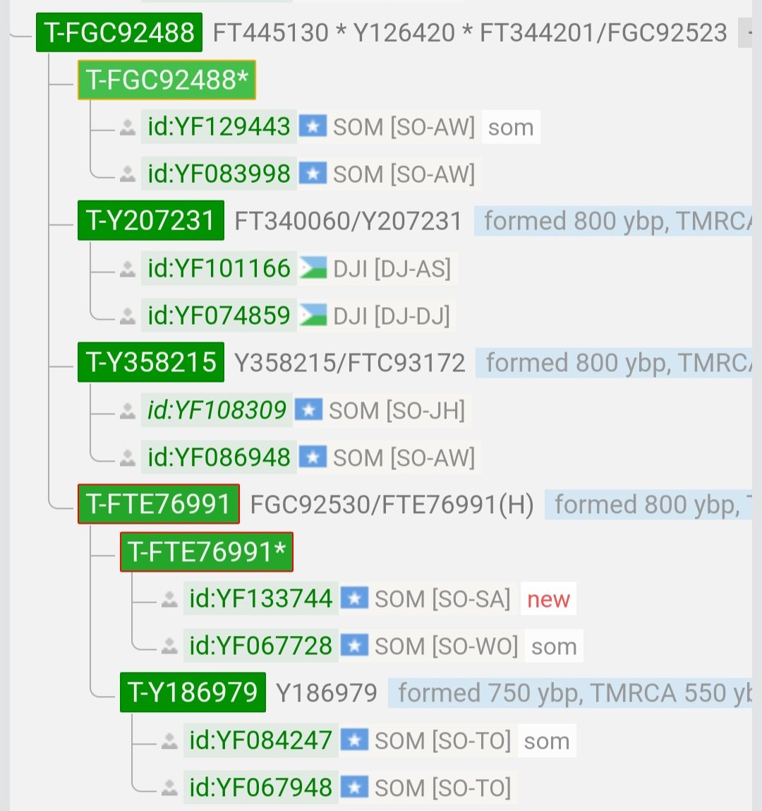 عينتان جديدتان سعودية وصومالية تحت التحور T-Y16897 الذى يقع اسفل التحور الرئيسي T-L208 مباشرة فى مشجرة Yfull.
العينة السعودية من  منطقة عسير ومن آل عقيل والعينة الصومالية تخصنى وأنا من قبيلة الشيخ إسحاق الصومالية.