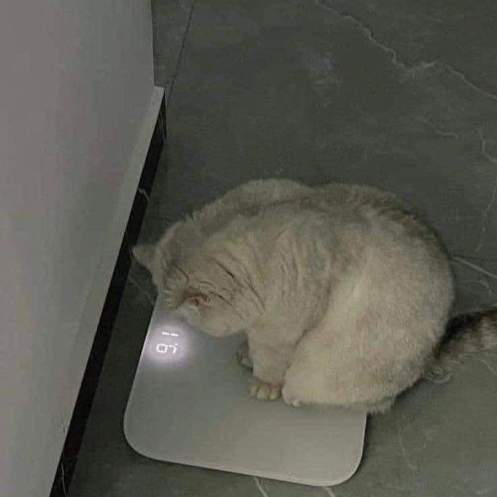 دندنه يا دندنه