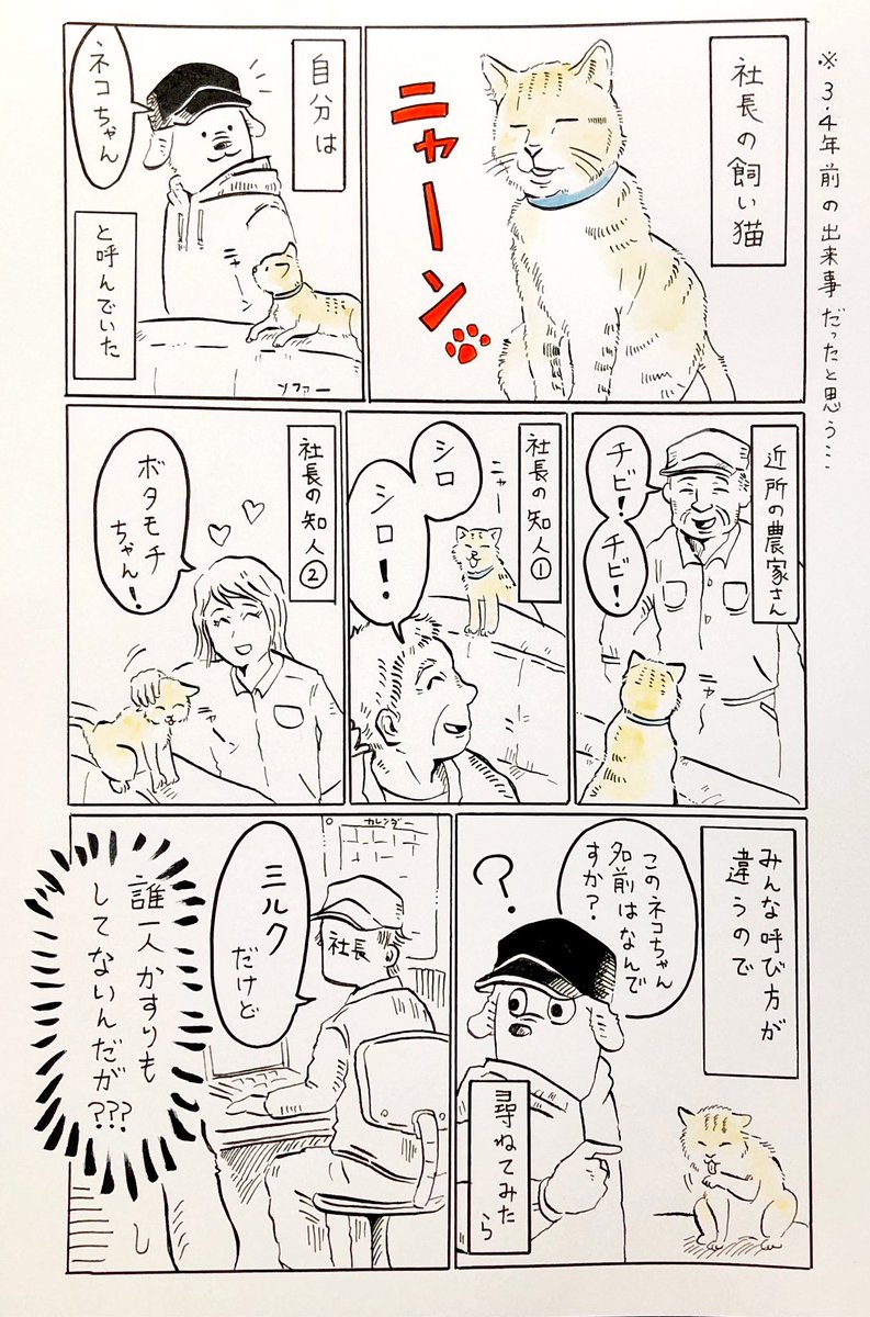 猫の名前、フリーダム🐈

(知人と猫の話をしてて思い出した思い出マンガ。だいぶ前の出来事なので名前間違えてるかも…) 