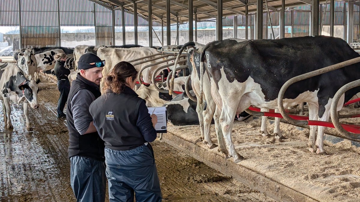 Great day providing <a href="/CowSignals/">CowSignals Training</a> training with <a href="/DroveFarmVets/">Drove Farm Vets</a> at <a href="/FarmsStowell/">Stowell Farms</a>. As per usual many thanks to <a href="/Parsonsfarmsups/">Parsons Farm supplies ltd</a> for supplying lunch. If you are interesting in attending a future course, or have a course supplied to your team then please get in touch. #teamdairy