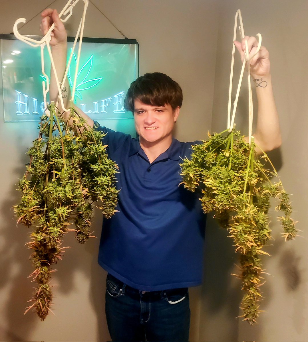 We harvested our Fruity Pebbles autoflower, it took a total of 76 days.