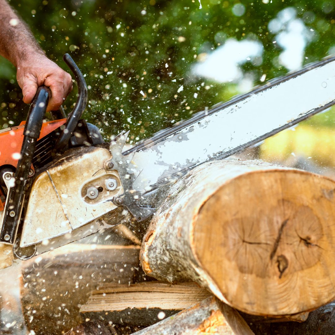 RAParts's tweet image. 🔧 Stay ahead of maintenance with kits for tractors, mowers, chainsaws, and more! 

🚜🛠️ From filters to belts, Reliable Aftermarket Parts has what you need to keep your machines running strong. 

✅ Less downtime, more productivity! 

#KeepItRunning #EquipmentCare