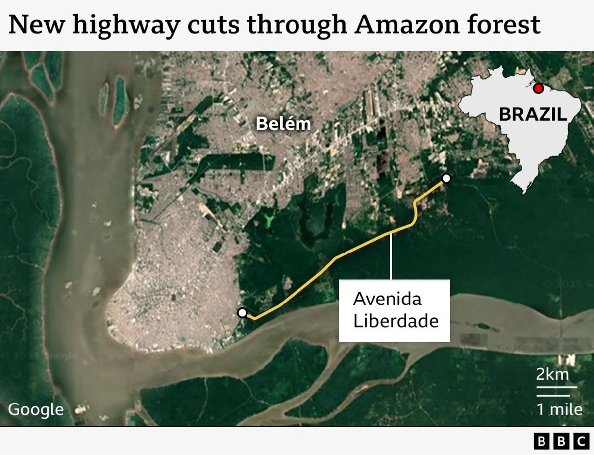 climateguyw's tweet image. Main Topic: Amazon Forest Felled to Build Road for #COP30 Climate Summit via @BBCWorld
On The Extreme Temperature Diary WED- 3/19/2025 guyonclimate.com/2025/03/19/ext…
+new #climate+ rec. temp reports via
@extremetemps/@DoctorVive @BrianMcHugh2011 @KHayhoe @Weather_West @BMcNoldy