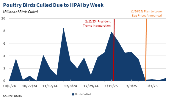 Karoline Leavitt (@presssec) on Twitter photo Check this out!
The Biden Administration killed nearly 8 MILLION chickens ahead of President Trump's Inauguration, leading to supply shortages and higher prices.
The Egg Crisis is Biden's Crisis -- but President Trump and <a href="/SecRollins/">Secretary Brooke Rollins</a> are fixing it! ๐ฅ๐ Check this out!
The Biden Administration killed nearly 8 MILLION chickens ahead of President Trump's Inauguration, leading to supply shortages and higher prices.
The Egg Crisis is Biden's Crisis -- but President Trump and <a href="/SecRollins/">Secretary Brooke Rollins</a> are fixing it! ๐ฅ๐