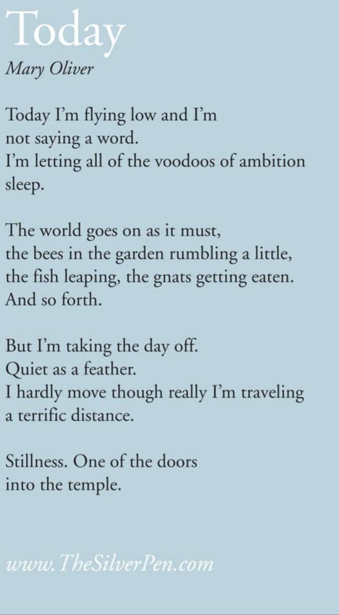 Catherine Tran (@yellowrainmac) on Twitter photo 