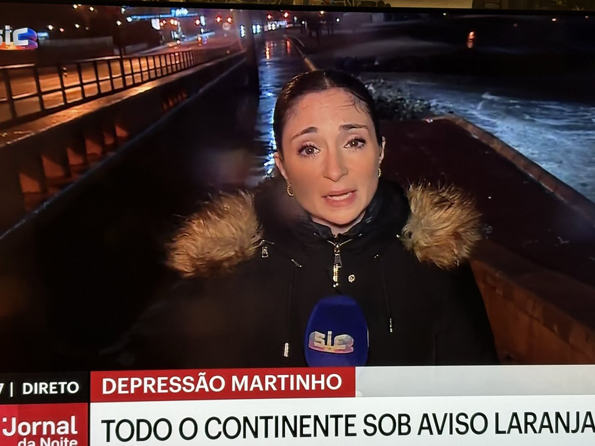 Jornalista: Portugueses devem ficar em casa face às condições climatéricas extremas.

Also jornalista:
