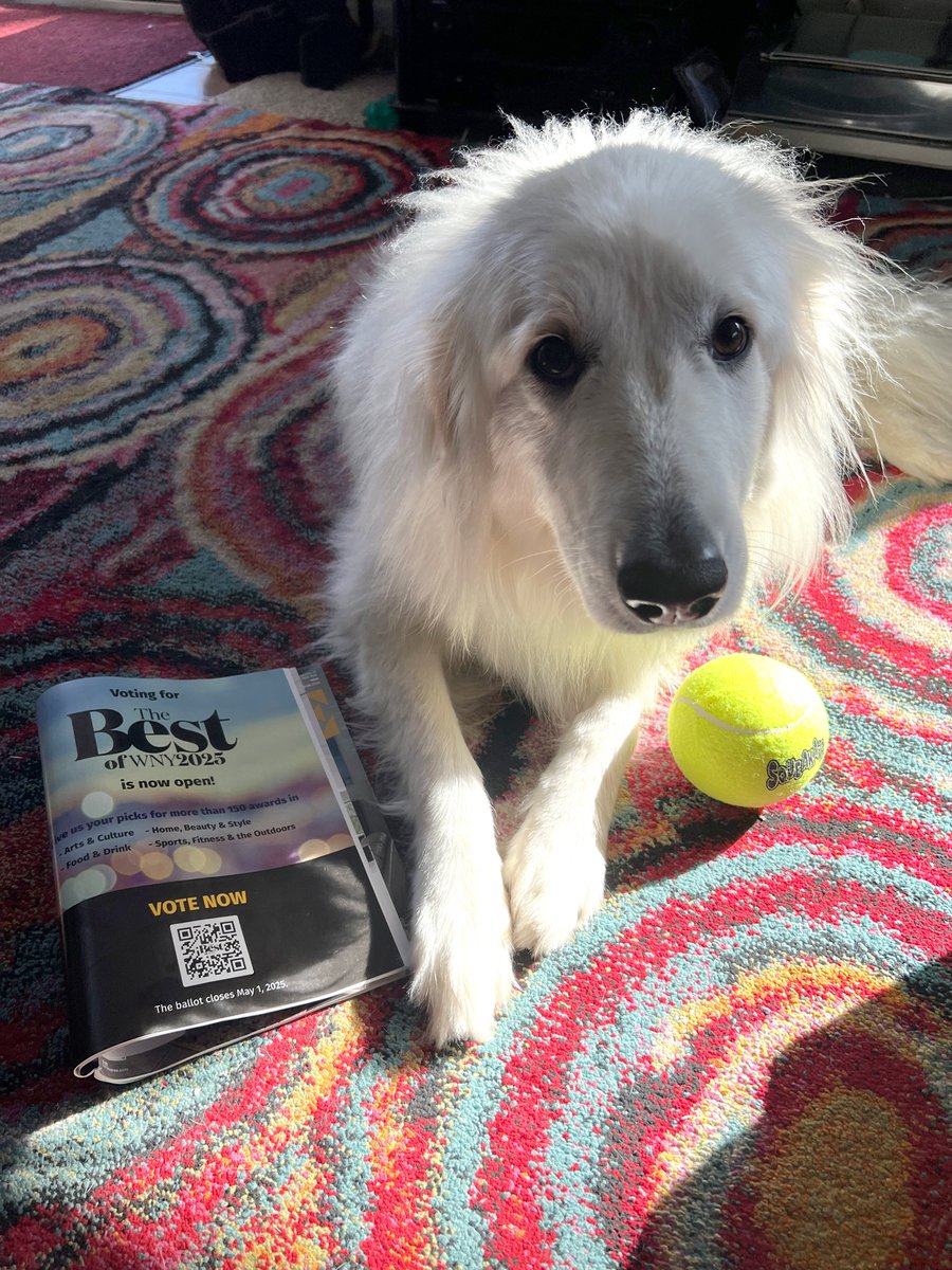 Zelda would love for ya'll to vote for the "Why Music Matters" podcast for Best Podcast in the Buffalo Spree magazine Best of WNY. Let's go! 

Vote here: surveymonkey.com/r/R35B6WB

Thank you!!!