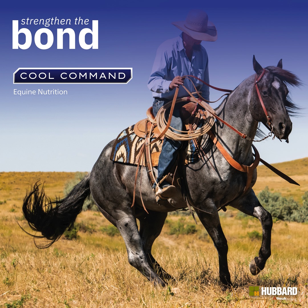 HubbardFeeds's tweet photo. The bond you share with your horse is special. Cool Command ensures that bond is strengthened by promoting strong bones & robust immune function with our high-quality nutrition.πβ€οΈπͺ
π΄ππ»https://t.co/Re2weKrYKD
#StrongerTogether #HorseNutrition #StrengthenTheBond #CoolCommand https://t.co/dZie8qcEbp