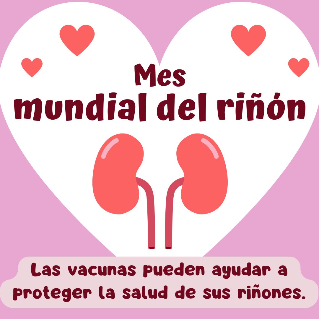 UCDeptHealth's tweet photo. Did you know that people with kidney disease are at higher risk for serious illness from infections like flu, COVID-19, &amp; pneumonia? Protecting your kidneys means protecting your health—stay up to date on your vaccines! ➡️
https://t.co/Cq91FA4Nrp https://t.co/BCgj0YbOGN