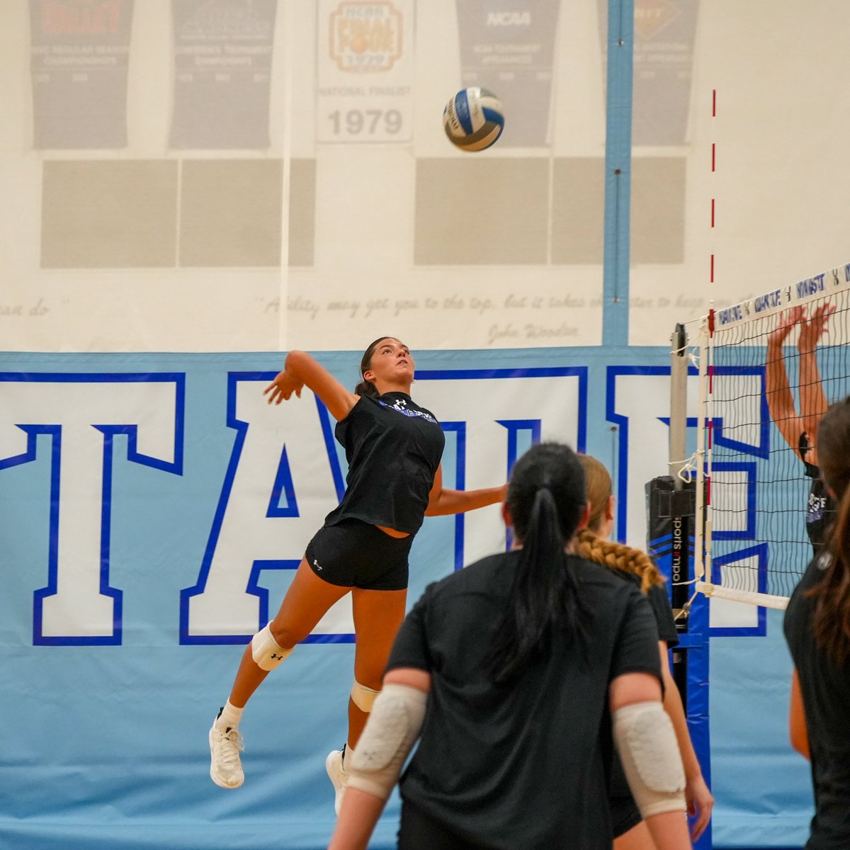 IndStVB's tweet photo. Back in business 📈

#MarchOn | #TreesUpRootsDown https://t.co/AxehJaln4i