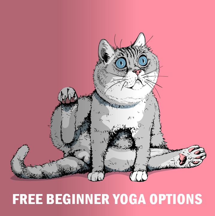 stuartcmcgill's tweet photo. Get the last ever 2 totally free yoga classes at SWELL by Palmerston Council. The free yoga classes on these next 2 Saturdays are the end of Palmerston's Get Active yoga program altogether. So come to Flametree's last 2 free, Council provided classes. But, don't worry, after that, at SWELL, Flametree's yoga classes and free options will continue. Plus, at SWELL, and at any of Flametree's 15 beginner classes a week, at 6 Darwin region locations, and online, get a free first Flametree Beginner class. In addition, Flametree's half price 10 pack includes 2 free classes. By far, Flametree gives the lowest cost, highest quality beginner or non-beginner classes available. But, make use of the free Swell beginner yoga classes while you can. Going, going, gone!

As well as Flametree's normal, ongoing beginner level yoga classes, choose any mix of Special Focus classes. Each week, do as few or as many as suits, like Gentle Yoga, Relaxation Yoga, Yoga For Backs, Rope (aerial) Yoga, Lunch Yoga, Beach Yoga, Walk & Yoga Combination, Restorative (Energising) Yoga, and more.

In any week, choose a mix of class times, types and locations.

In total, each week, choose from among up to 15 beginner classes. Attend the classes at a convenient range of times and locations to suit best.

The Darwin region locations are Coolalinga, Woolner (near Parap), Casuarina, and Palmerston (at either Gray Hall or SWELL Swim Centre yoga room). All locations are air-conditioned.

Learn high quality yoga that works best for body, mind, and emotions. The poses speak directly to all parts of the nervous system, in ways that only yoga can.

The teacher will give clear instructions and manage a pace that works effectively for wherever people are at.
As needed, the qualified teach will also teach variations of yoga poses, so as to allow everyone to steadily learn, as well as get all the benefits as they go.

Come to SWELL, or any other class that works for your location. But don't miss these last ever 2 FREE GET ACTIVE classes by Flametree.
🙏💕🧘

#humptydoo #berrysprings #howardsprings #darwinnt #freeyoga #iyengaryoga #palmerstonnt #palmerston #coolalinga #beginneryoga #darwincity