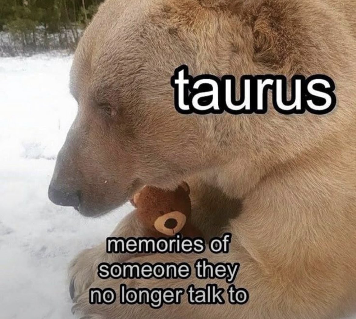 taurusismagic's tweet photo. This not me anymore… ♉️ https://t.co/00jgcGUa2X