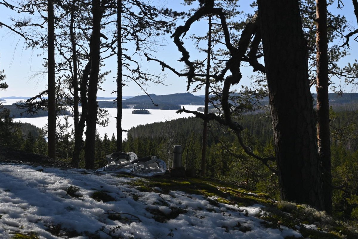 Haukkavuoren kahvipaikan näköala #Korpilahti #Päijänne