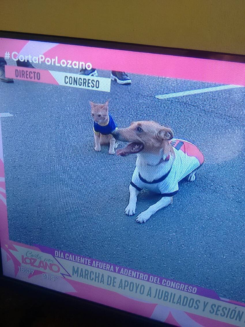 Tec_Yv4N's tweet photo. #TodosConLosJubilados #TODOSALCONGRESO https://t.co/vHGZ5BVJp2