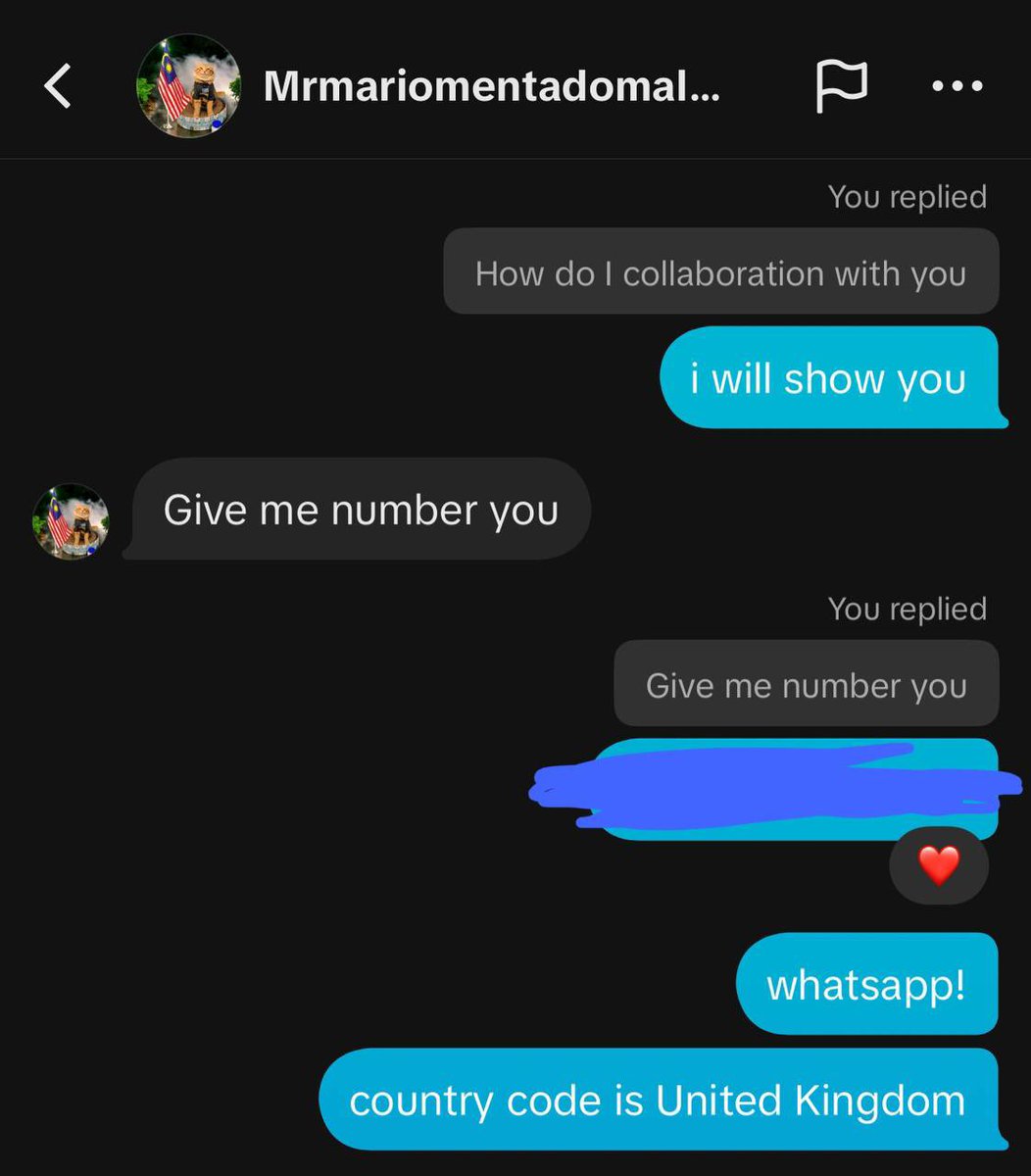 mrmariocat's tweet photo. in less than 24 hours we went from just a meme to the owner responding to us &amp; getting onboard, CA in the bio of the OFFICIAL tiktok, posted a video with our ticker + CA and now we got a website 😭😭🙏🙏🙏 https://t.co/04ChxQMkns