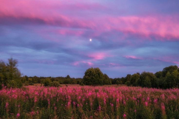 talya9646171863's tweet photo. https://t.co/eULAhk8bIQ