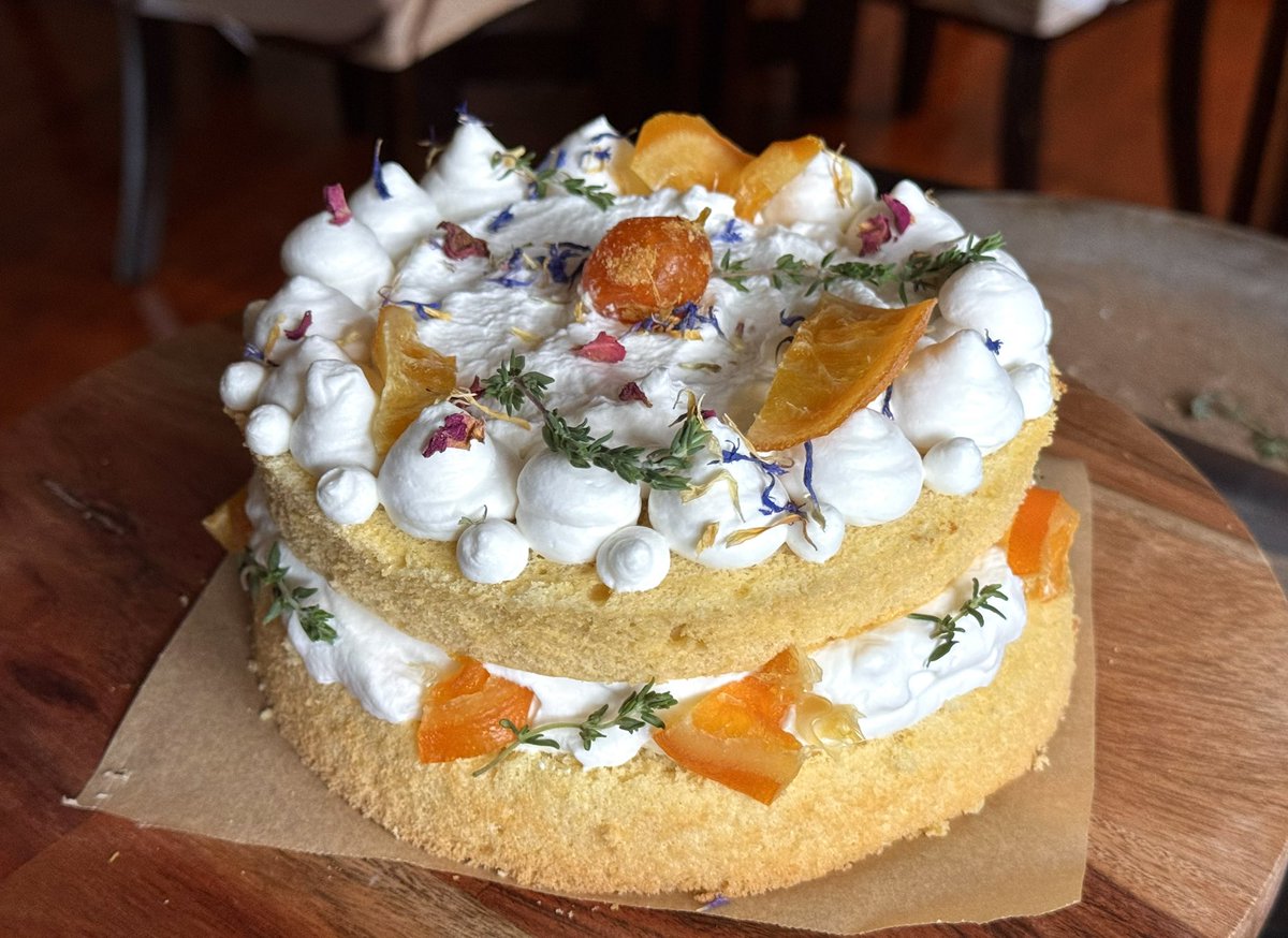 i think this is my first ever successful cake