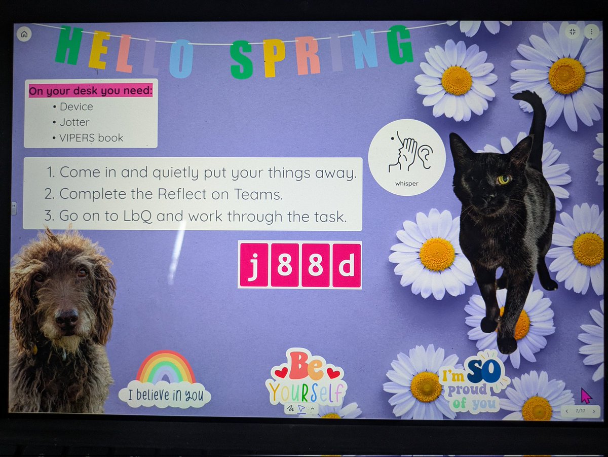 Charli Boddington (@mrsboddingtonqc) on Twitter photo Is this not the most perfect morning screen?! Featuring my newly one-eyed cat (who my class have followed for six weeks through a crazy journey!) and my wise looking pup. A bit of morning motivation! <a href="/LbQorg/">Learning by Questions</a> <a href="/Classroomscreen/">Classroomscreen</a> Is this not the most perfect morning screen?! Featuring my newly one-eyed cat (who my class have followed for six weeks through a crazy journey!) and my wise looking pup. A bit of morning motivation! <a href="/LbQorg/">Learning by Questions</a> <a href="/Classroomscreen/">Classroomscreen</a>