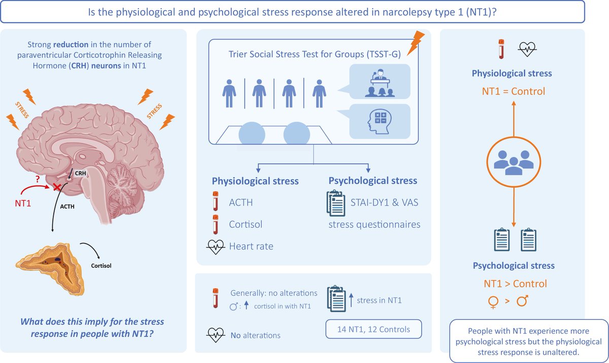 Sleep Research Society (@researchsleep) on Twitter photo 🌙 New NT1 Study: People with #Narcolepsy Type 1 feel more #stress during acute stress, despite no major physical changes. Men with NT1 may have a lower cortisol response, hinting at a gender effect. This reveals NT1’s impact beyond sleep. ow.ly/VGIb50Vl60j <a href="/sleepjournals/">SLEEP and SLEEP Advances</a> 🌙 New NT1 Study: People with #Narcolepsy Type 1 feel more #stress during acute stress, despite no major physical changes. Men with NT1 may have a lower cortisol response, hinting at a gender effect. This reveals NT1’s impact beyond sleep. ow.ly/VGIb50Vl60j <a href="/sleepjournals/">SLEEP and SLEEP Advances</a>