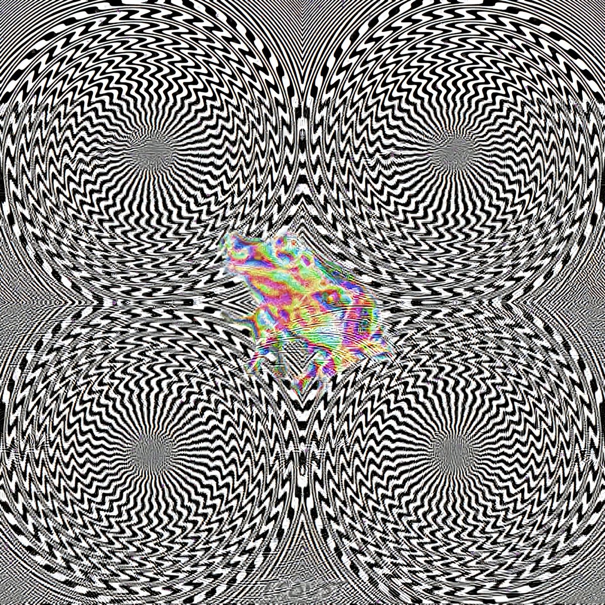 TylerFoust13's tweet image. What should I call this?