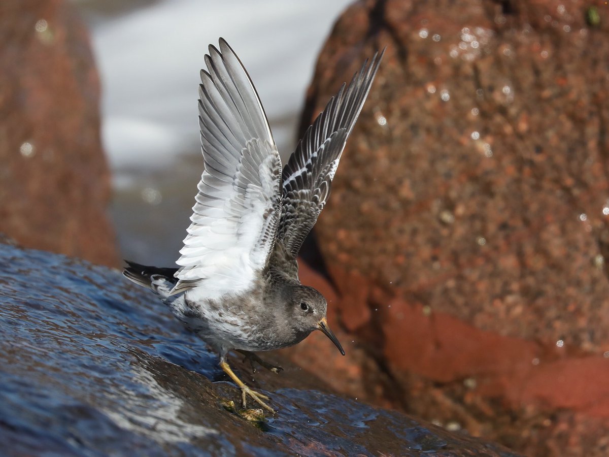 Tim Oakes tweet media