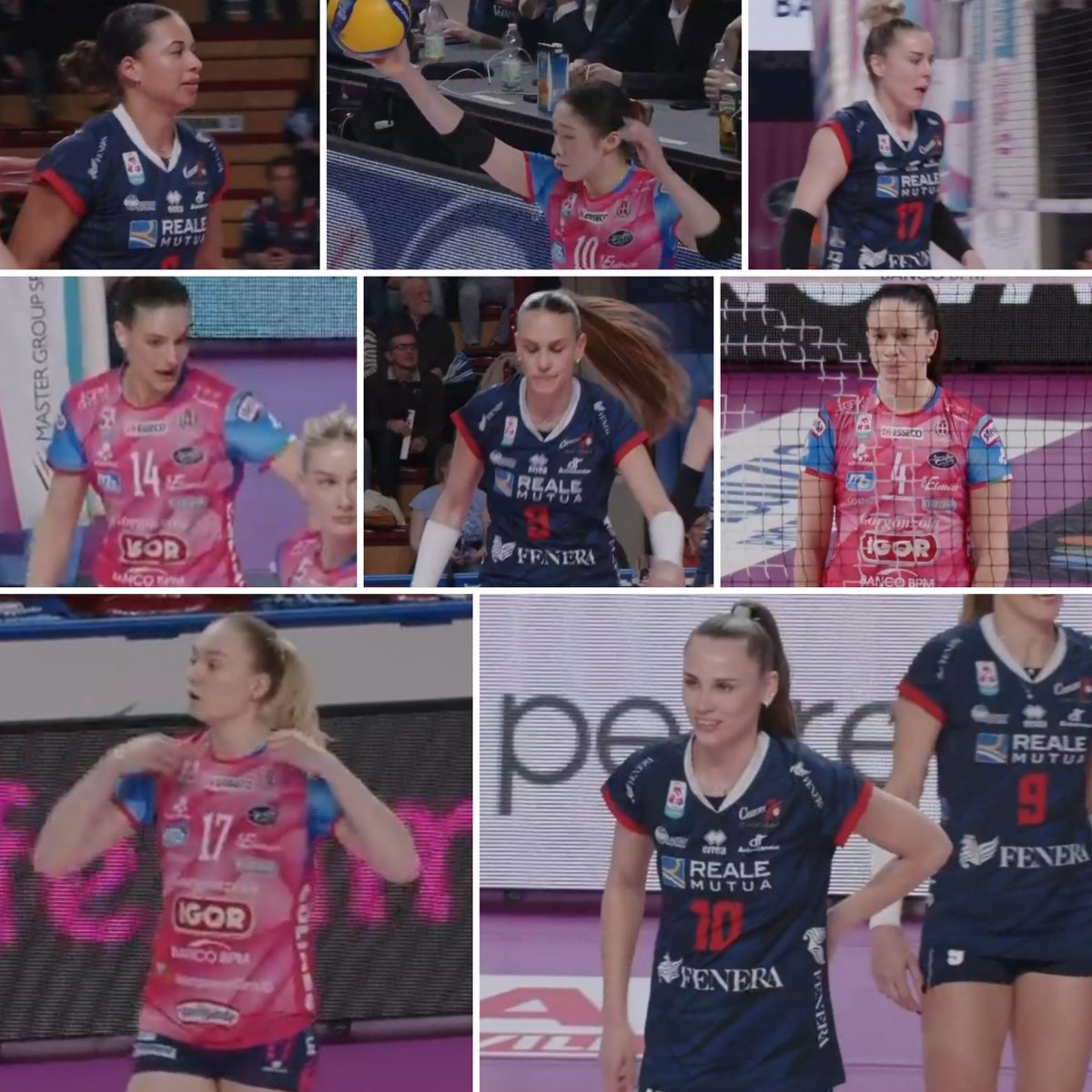 darko bay tweet media