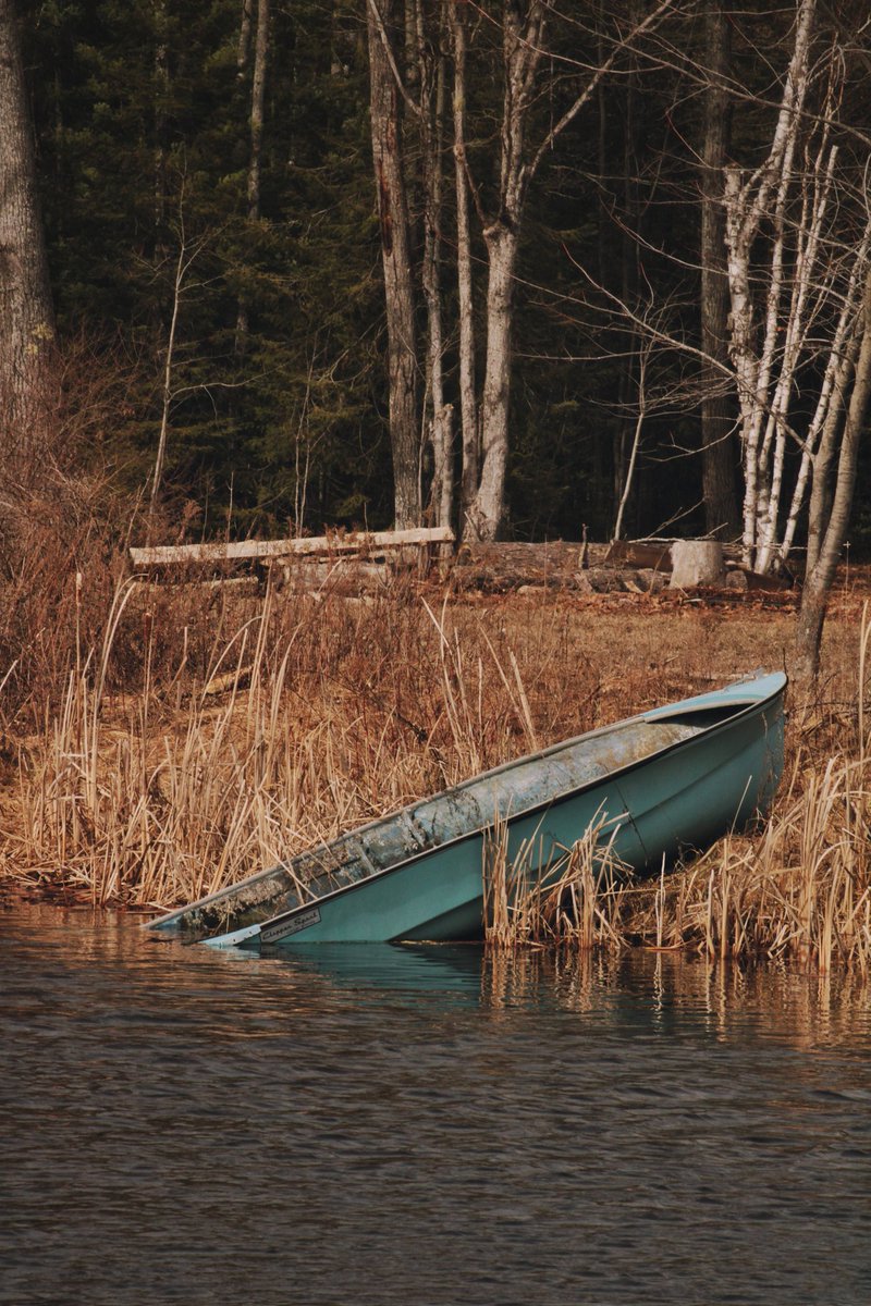 kimmaylou's tweet photo. "Ere over all our past the present streams..."
—May Gillington Byron
Nice little play on words there for this image...
03.15.2025
#photography #photooftheday #shotoncanon #michiganphotographer #ipulledoverforthis #uturn #boat #spring #northernmichigan #landscape #quotes https://t.co/A6pHF4Vcij