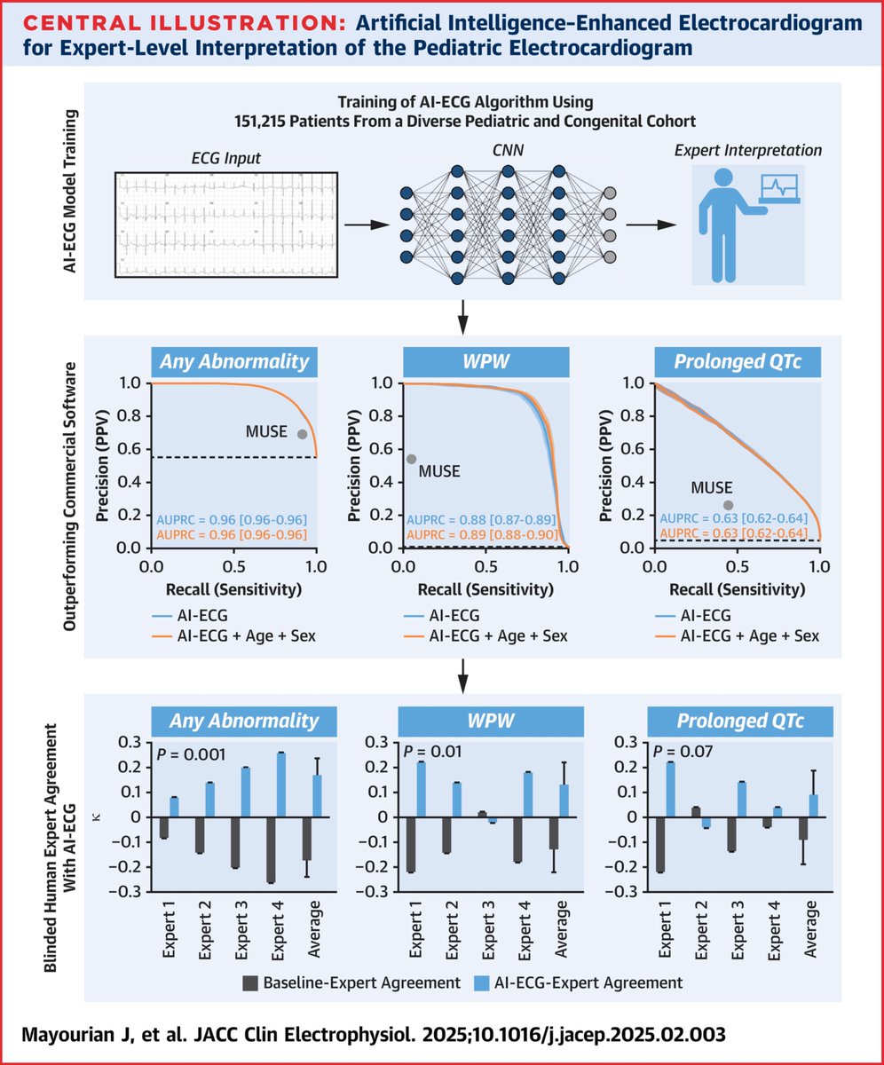 Josh Mayourian tweet media