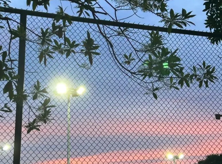 自分に厳しくすれば、いつもくじけない。
#風景